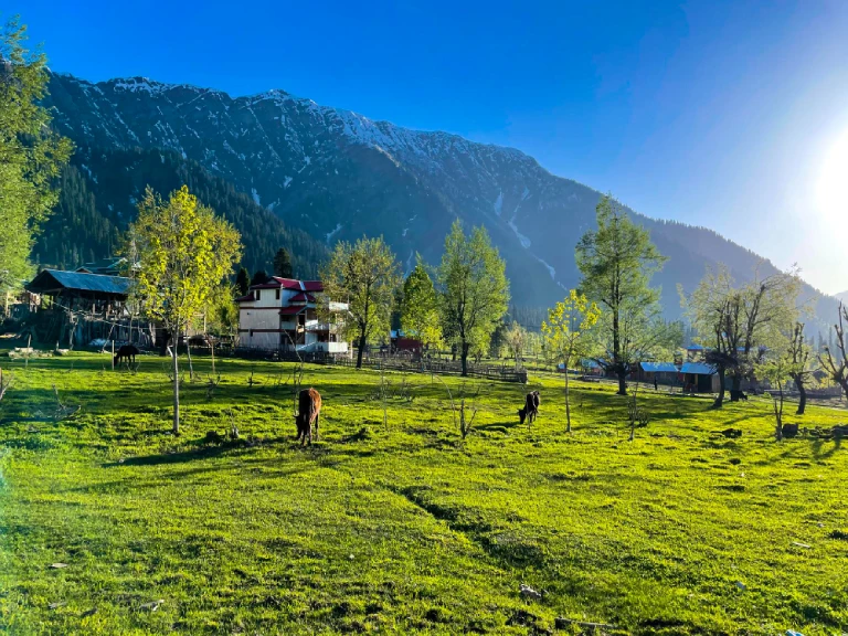 Investment plot, Himachal Pradesh