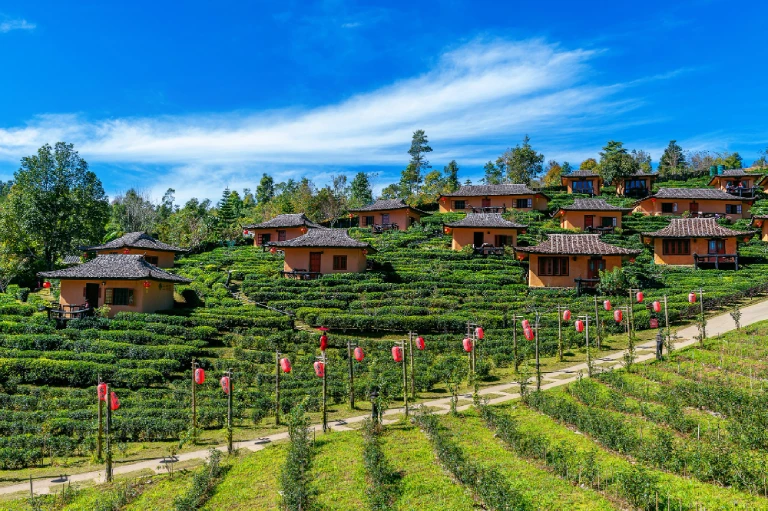 Villa exteriors, Himachal Pradesh