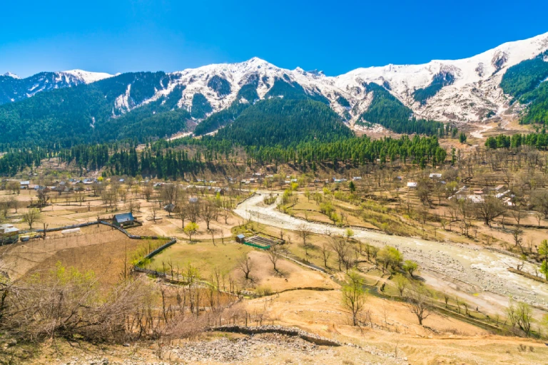 Hill-side villa, Himachal Pradesh